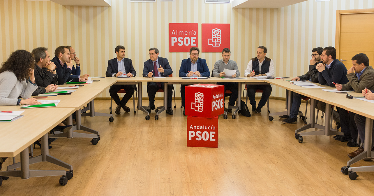 Reunión en Almería de representantes del PSOE de las tres provincias orientales de Andalucía para reclamar la línea eléctrica entre Vera y Baza