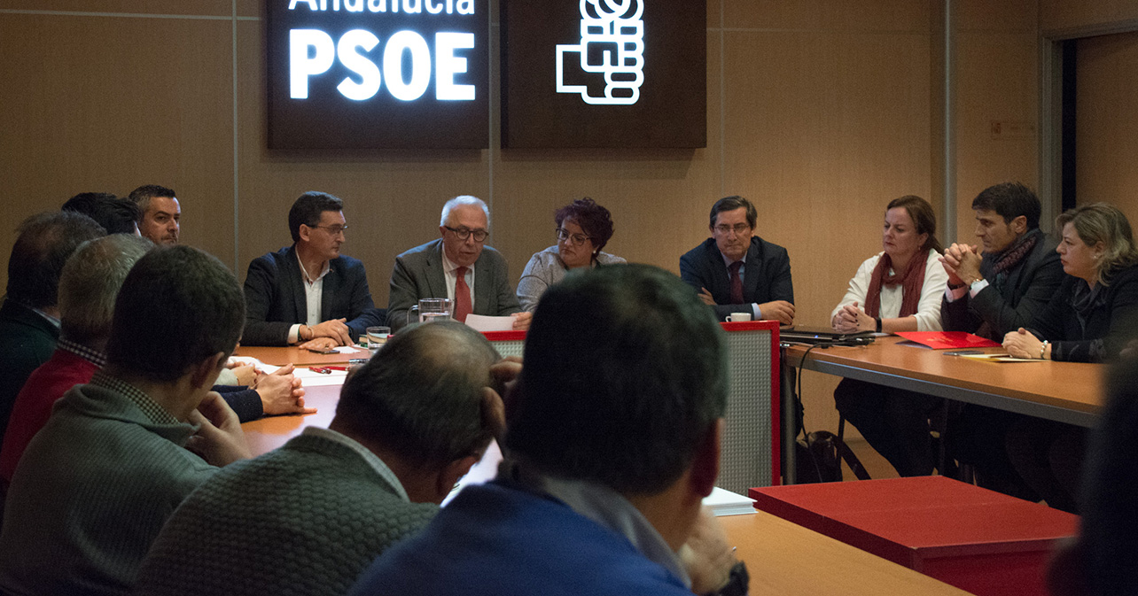 Reunión que han mantenido en Granada representantes socialistas de los municipios afectados por la línea eléctrica Caparacena-Baza-La Ribina, junto a los responsables provinciales del PSOE de Almería y Granada y el consejero de Empleo