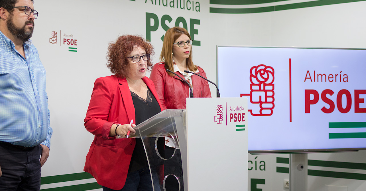 Rueda de prensa que ha ofrecido la secretaria de Políticas contra la Violencia hacia las Mujeres del PSOE de Almería, Aurelia Jiménez Godoy