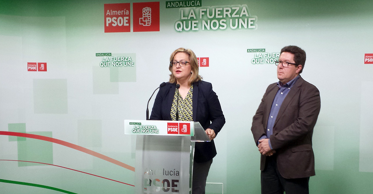 Rueda de prensa ofrecida por la portavoz del PSOE de Fines, Francisca Serrano, sobre la condena del alcalde del municipio a 21 meses de prisión