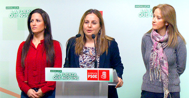 ALMERÍA. El PSOE cree que el alcalde “debería de tener la decencia de irse” después de que el TSJA  anule la concesión de cementerios