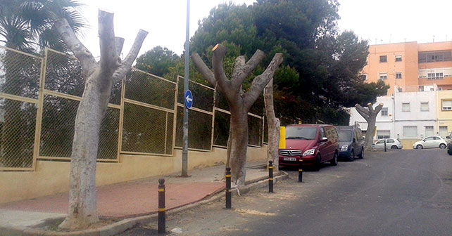 Poda de árboles en Barrio de Araceli (Almería)