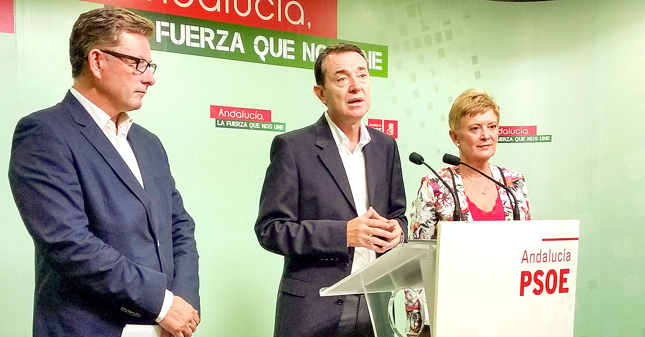 Rueda de prensa que ha ofrecido el Grupo Parlamentario del PSOE de Almería sobre las enmiendas a los Prespuestos Generales del Estado para 2016.