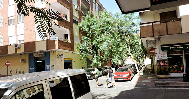 El PSOE exige al Ayuntamiento que atienda las peticiones de los vecinos de Torres Naharro y pode los árboles de la calle
