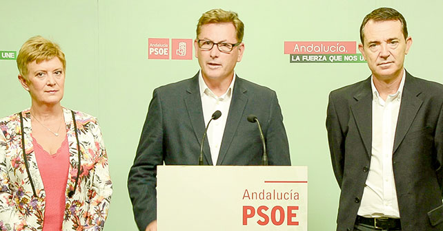 Antonio López Olmo, Diputado Nacional del PSOE de Almería