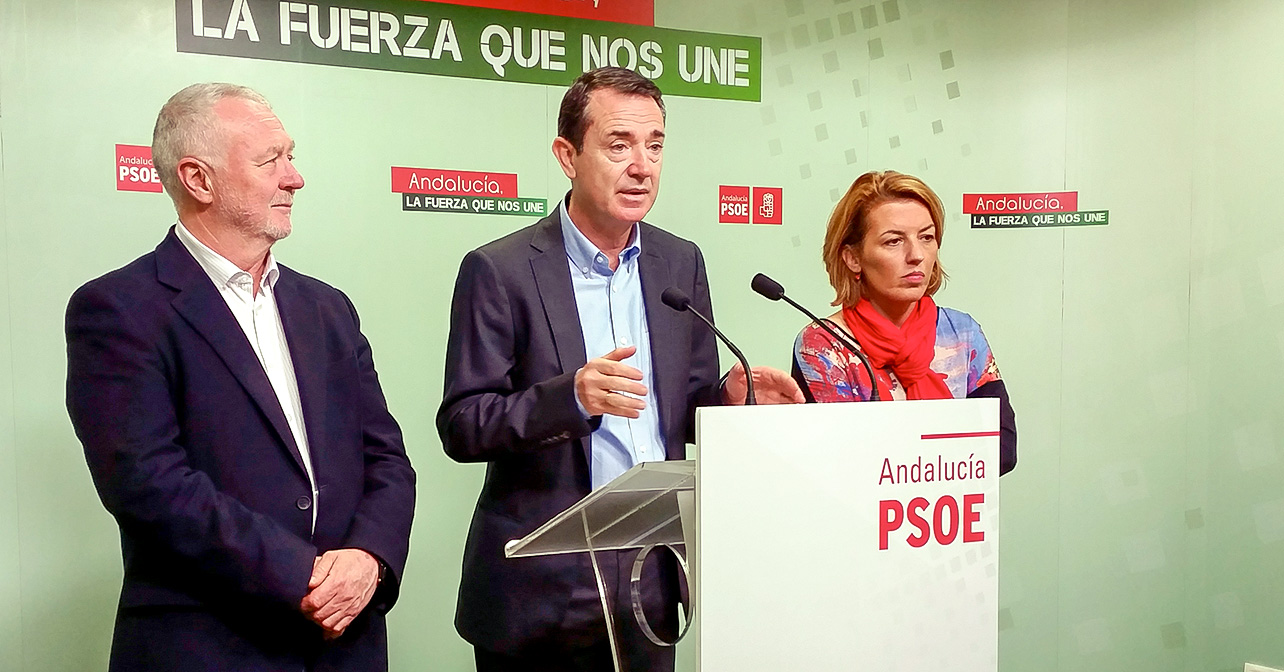 El PSOE de Almería pedirá al Congreso mejoras en el tren a Madrid y que se retomen el AVE y la desaladora de Cuevas