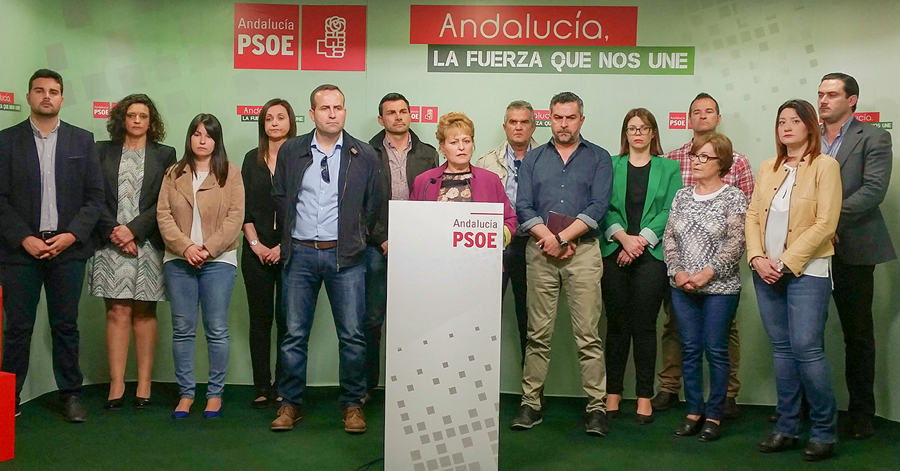Rueda de prensa ofrecida por el PSOE de Almería