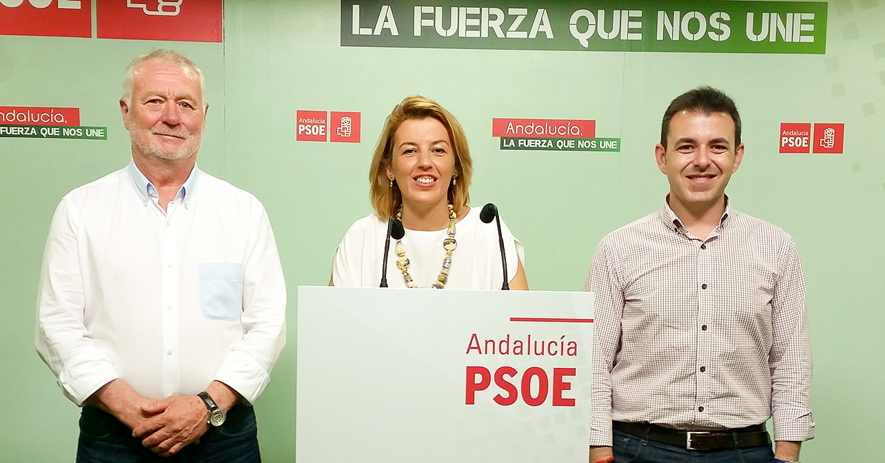 Rueda de prensa que han ofrecido los candidatos del PSOE al Congreso Sonia Ferrer, Juan Jiménez y Emilio Sánchez de Amo