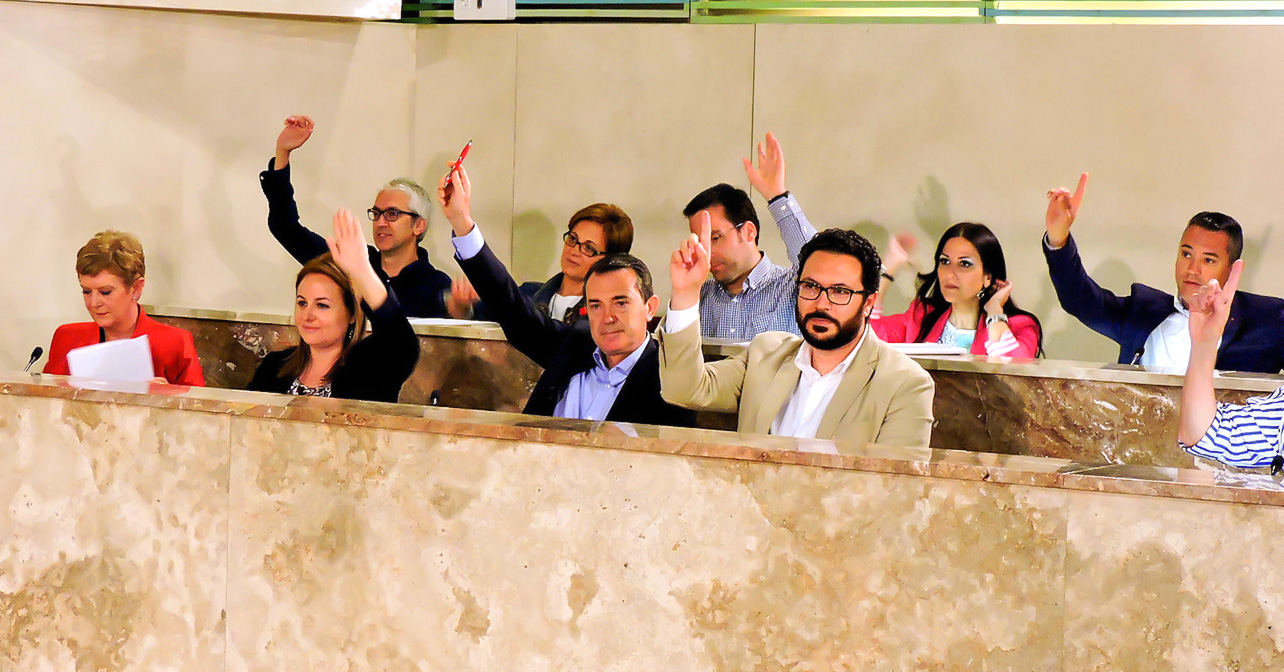 Pleno en el Ayuntamiento de Almería