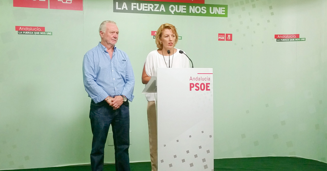 Rueda de prensa que han ofrecido los diputados nacionales del PSOE de Almería, Sonia Ferrer y Juan Jiménez