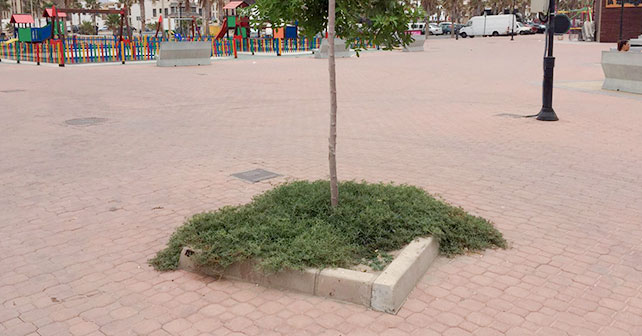 Zona turística Pago del Lugar, Adra