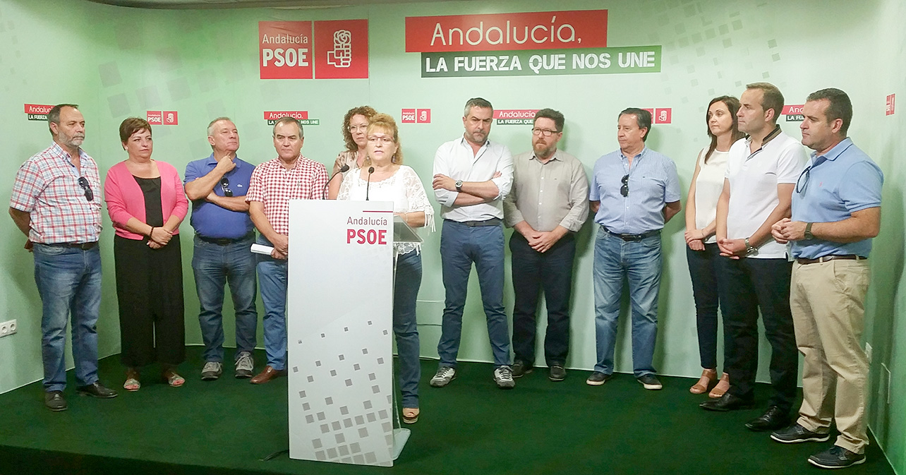 Rueda de prensa del PSOE de Almería sobre Galasa
