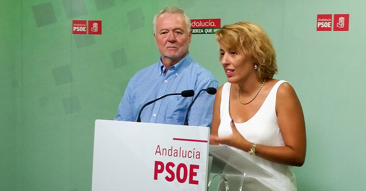 Sonia Ferrer, diputada nacional del PSOE de Almería