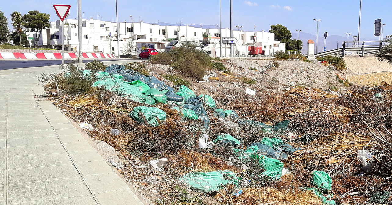 Restos vegetales junto al barrio de El Puche