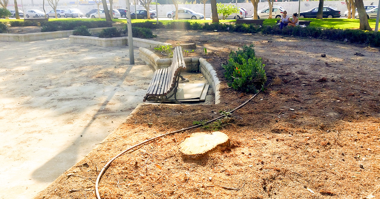 Última tala en el Parque Gloria Fuertes de Almería