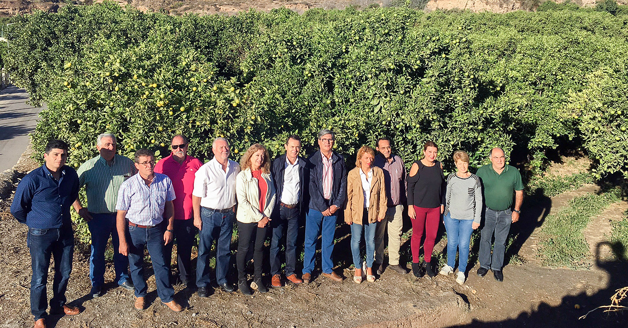 Visita que han realizado representantes de PSOE de Almería a una explotación de cítricos del Valle del Andarax