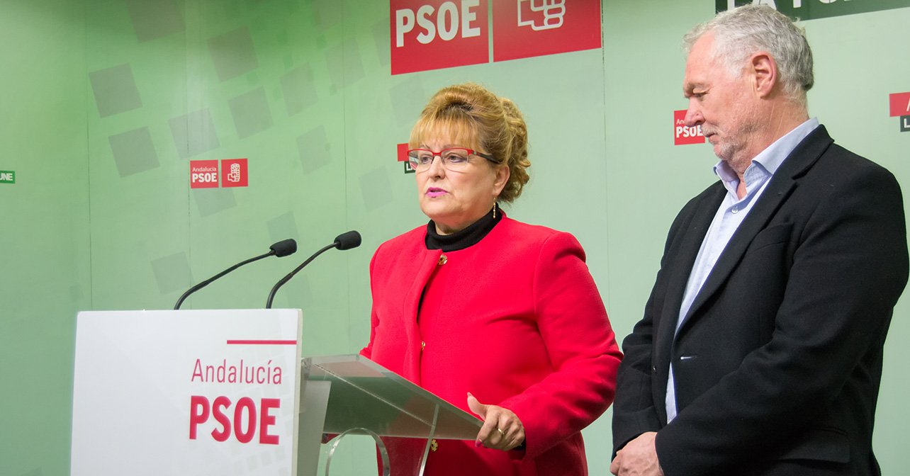 Adela Segura, secretaria de Política Municipal e Institucional del PSOE de Almería