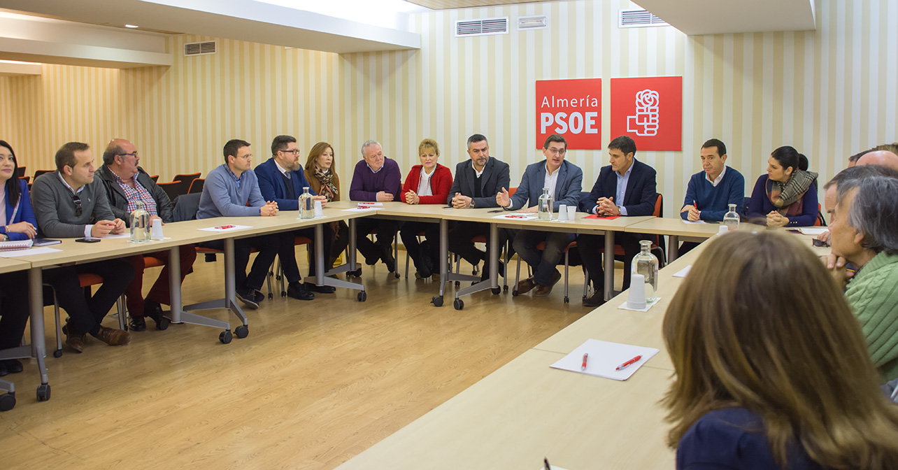 Reunión que han mantenido en Almería portavoces y alcaldes socialistas de las comarcas por las que transcurriría la línea eléctrica Vera-Baza
