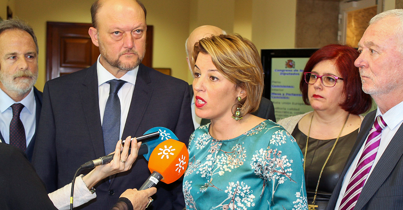 Rueda de prensa que han ofrecido en el Congreso de los Diputados el coordinador de la Interparlamentaria del PSOE de Andalucía, Antonio Pradas, y la coordinadora parlamentaria del PSOE de Almería, Sonia Ferrer