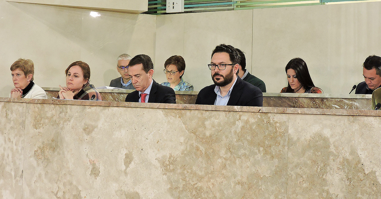 Grupo Socialista en el Pleno del Ayuntamiento de Almería