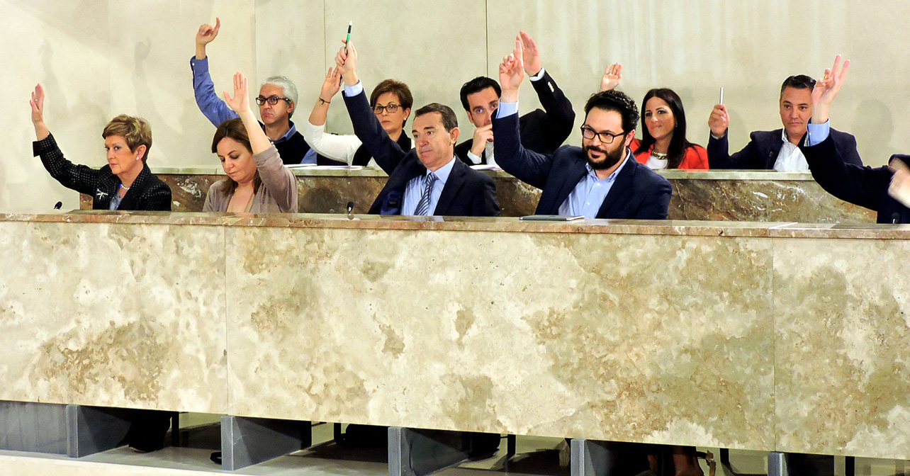 Grupo Socialista en el Pleno del Ayuntamiento de Almería