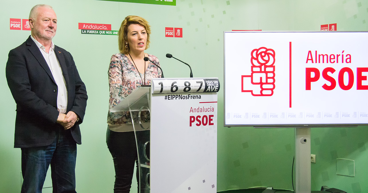 Rueda de prensa que han ofrecido los parlamentarios nacionales del PSOE de Almería, Sonia Ferrer y Juan Jiménez