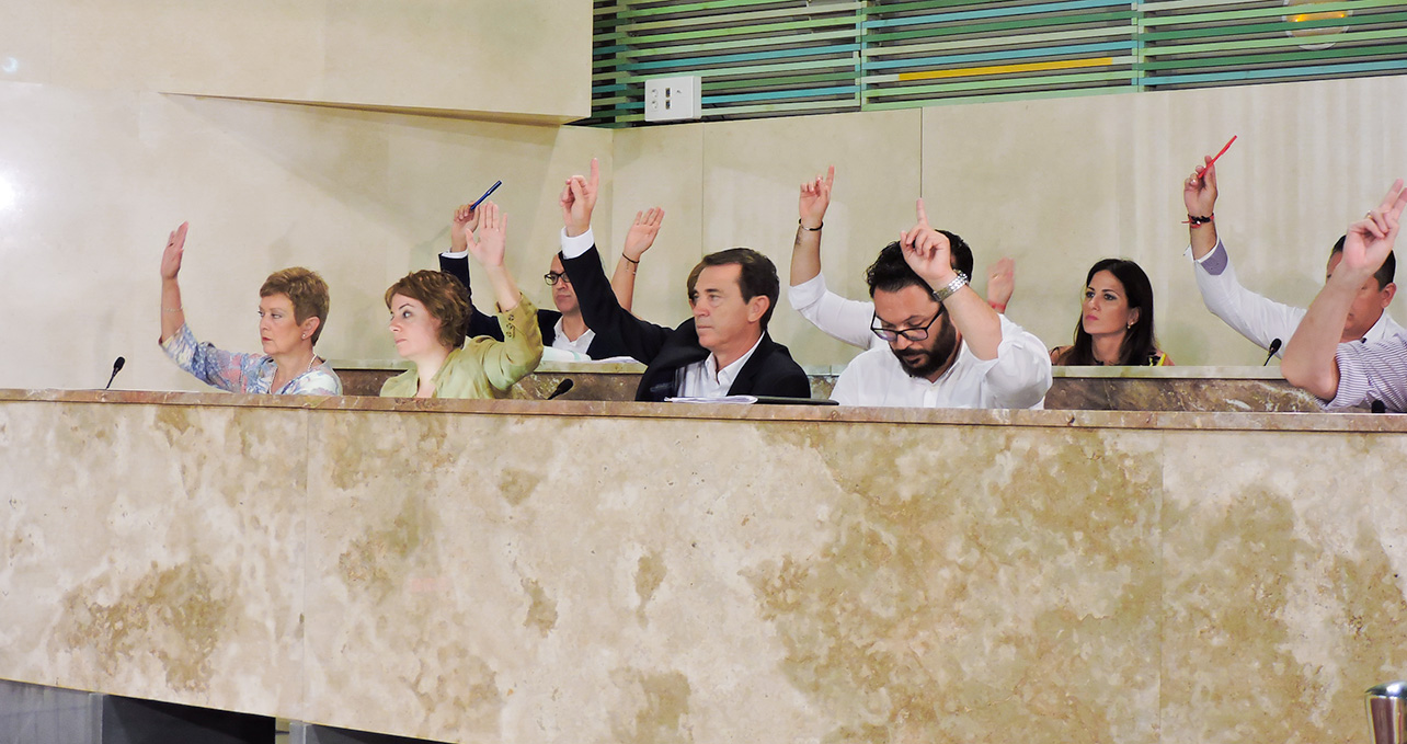 Grupo Socialista en el Pleno del Ayuntamiento de Almería