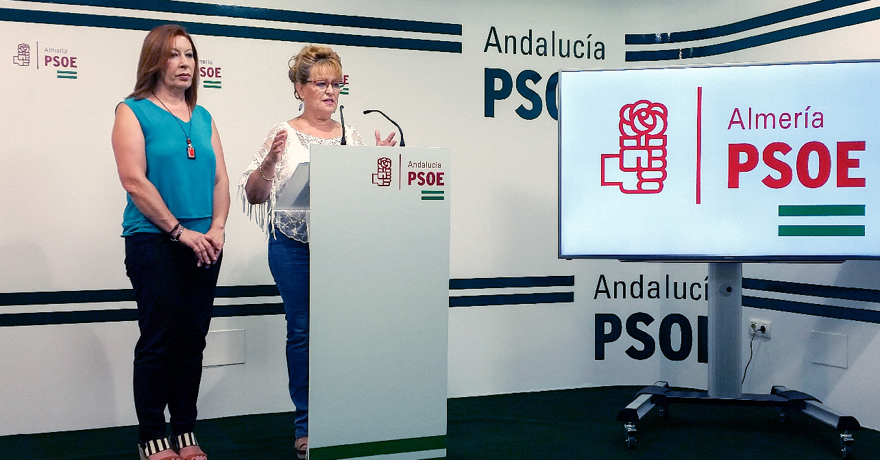 Rueda de prensa que ha ofrecido la secretaria de Política Municipal e Institucional del PSOE de Almería, Adela Segura