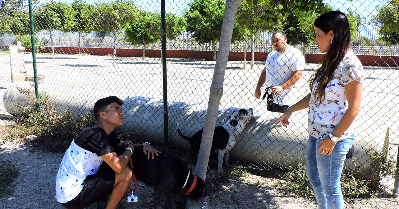 Parque canino Andarax