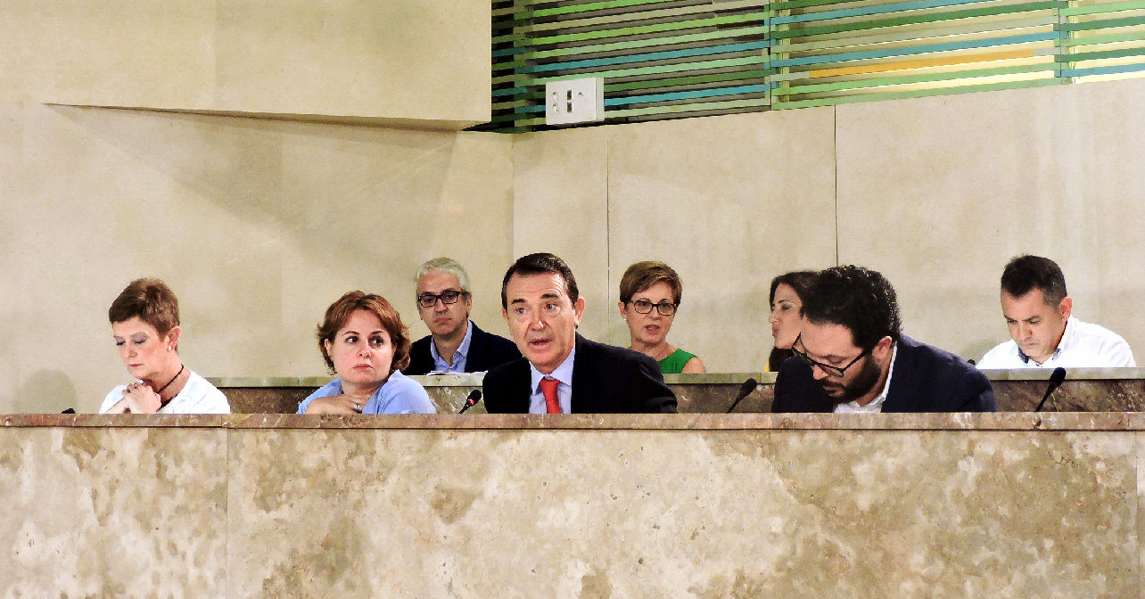 Grupo Socialista en el Pleno del Ayuntamiento de Almería