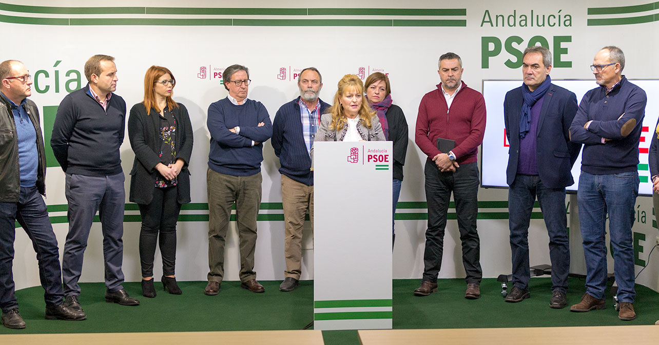 Rueda de prensa que han ofrecido la secretaria de Política Municipal del PSOE de Almería, Adela Segura, y el portavoz del PSOE en la Diputación, Juan Antonio Lorenzo