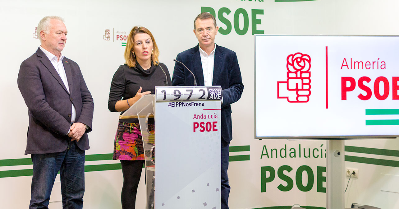 Rueda de prensa que ha ofrecido el Grupo Parlamentario nacional del PSOE de Almería