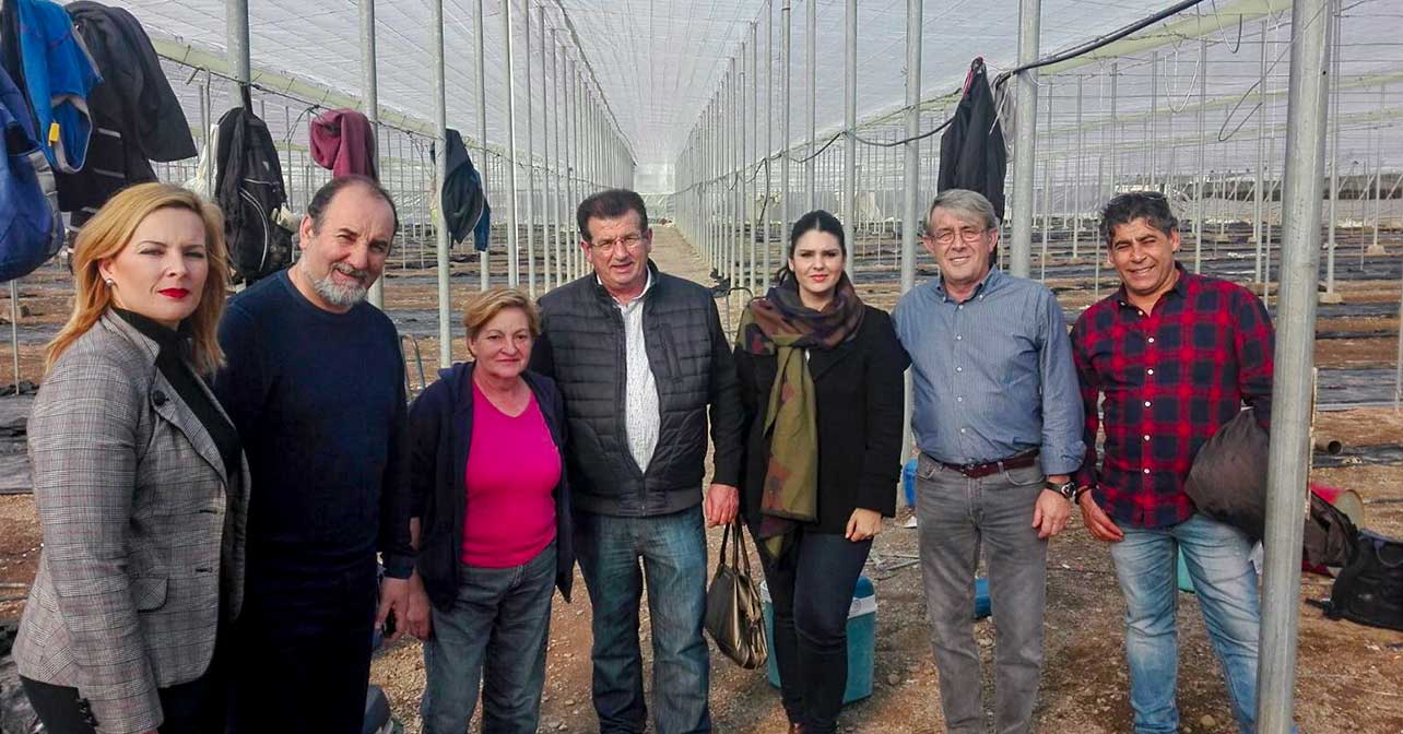 Visita del PSOE a los invernaderos afectados por el tornado