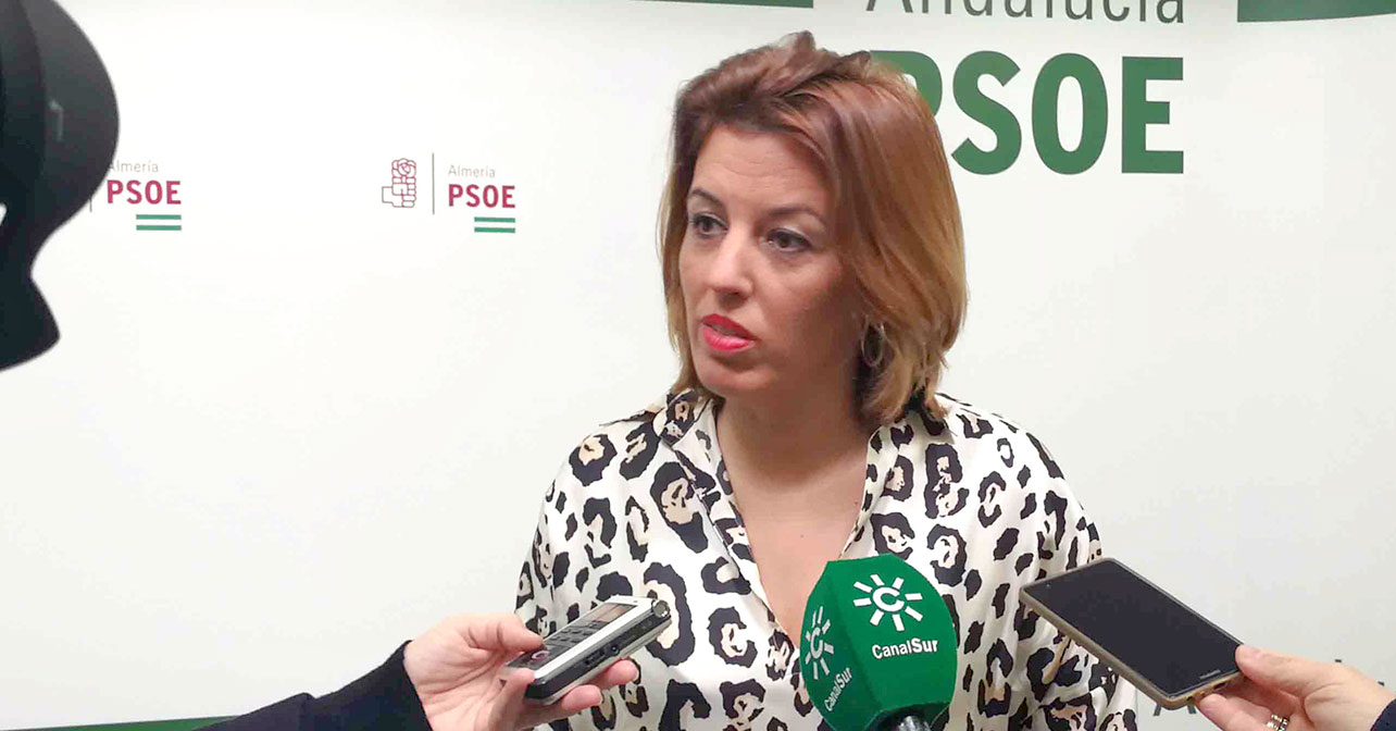 Sonia Ferrer, diputada nacional del PSOE de Almería