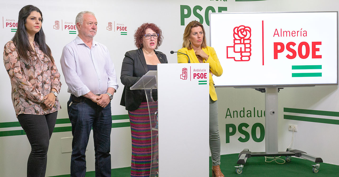 Rueda de prensa que ha ofrecido la secretaria de Políticas contra la violencia de género del PSOE de Almería, Aurelia Jiménez Godoy