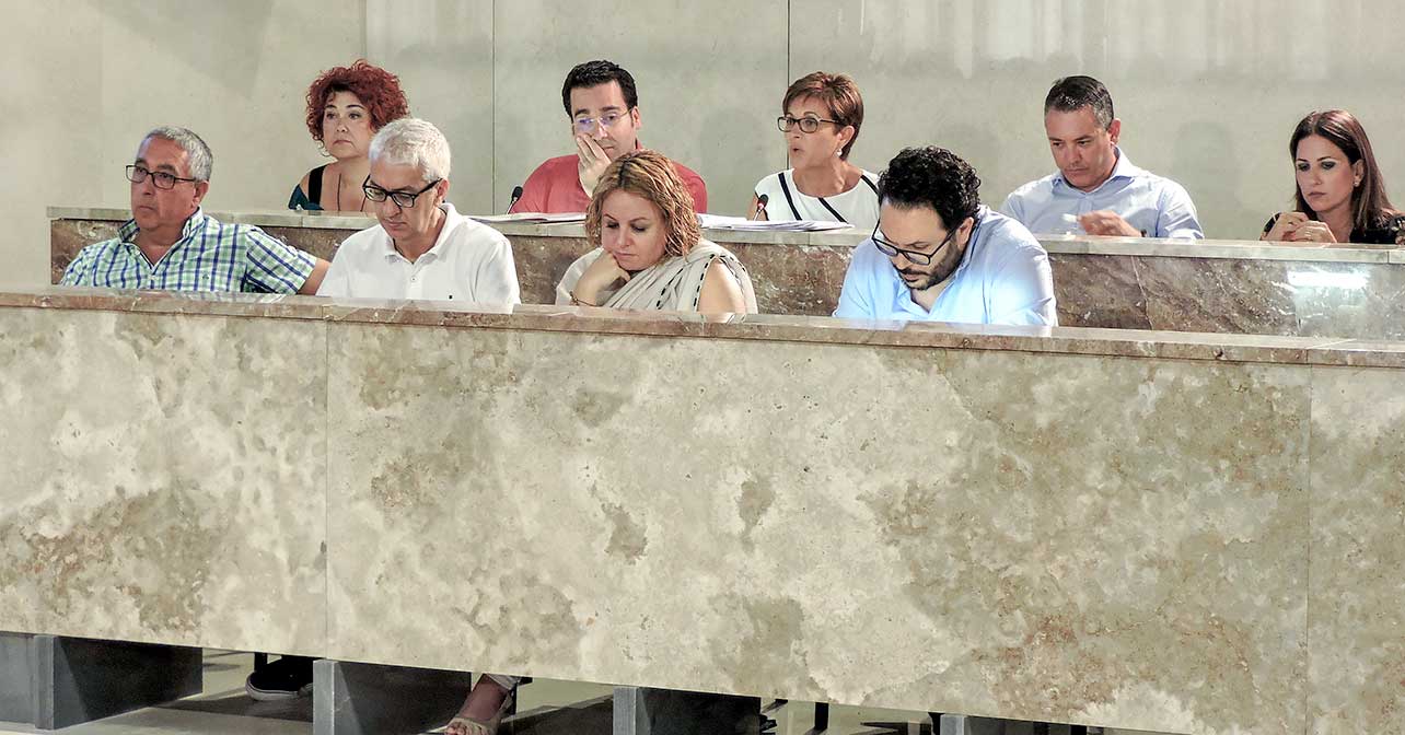 El Grupo Socialista en el Pleno del Ayuntamiento de Almería