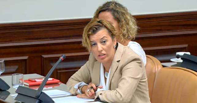 Sonia Ferrer, diputada nacional del PSOE de Almería