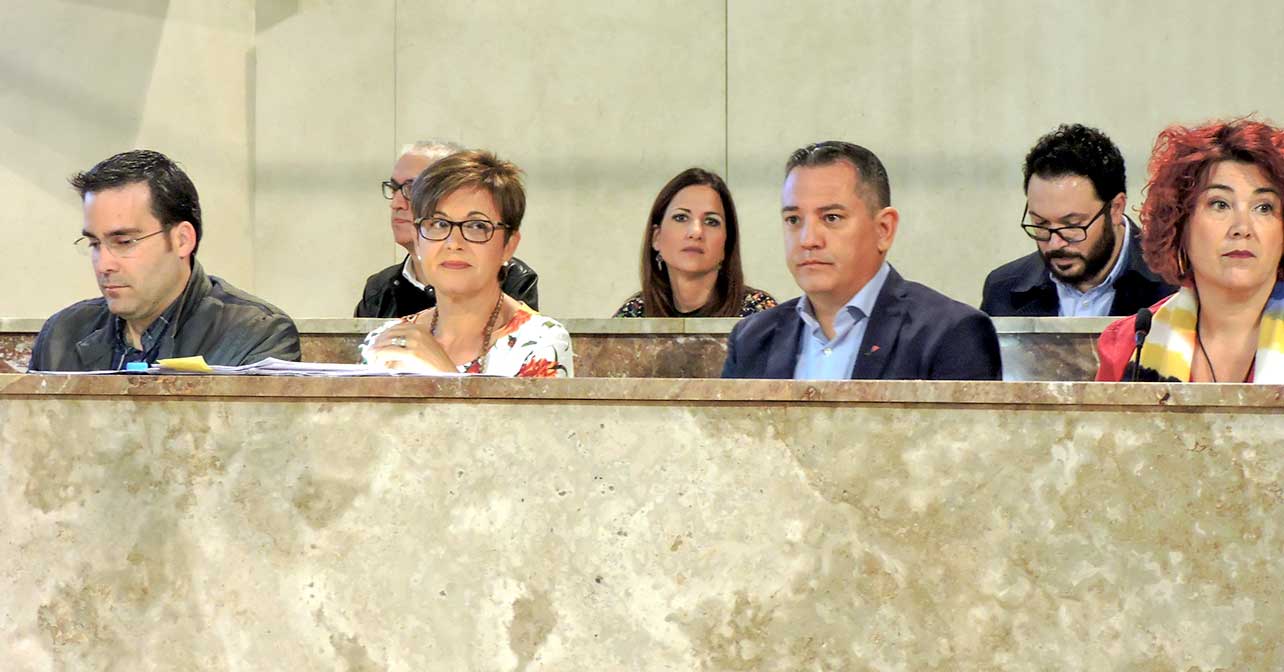 El Grupo Socialista en el Pleno del Ayuntamiento de Almería