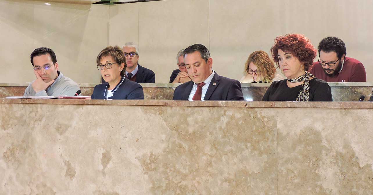 El Grupo Municipal Socialista en el Pleno del Ayuntamiento de Almería