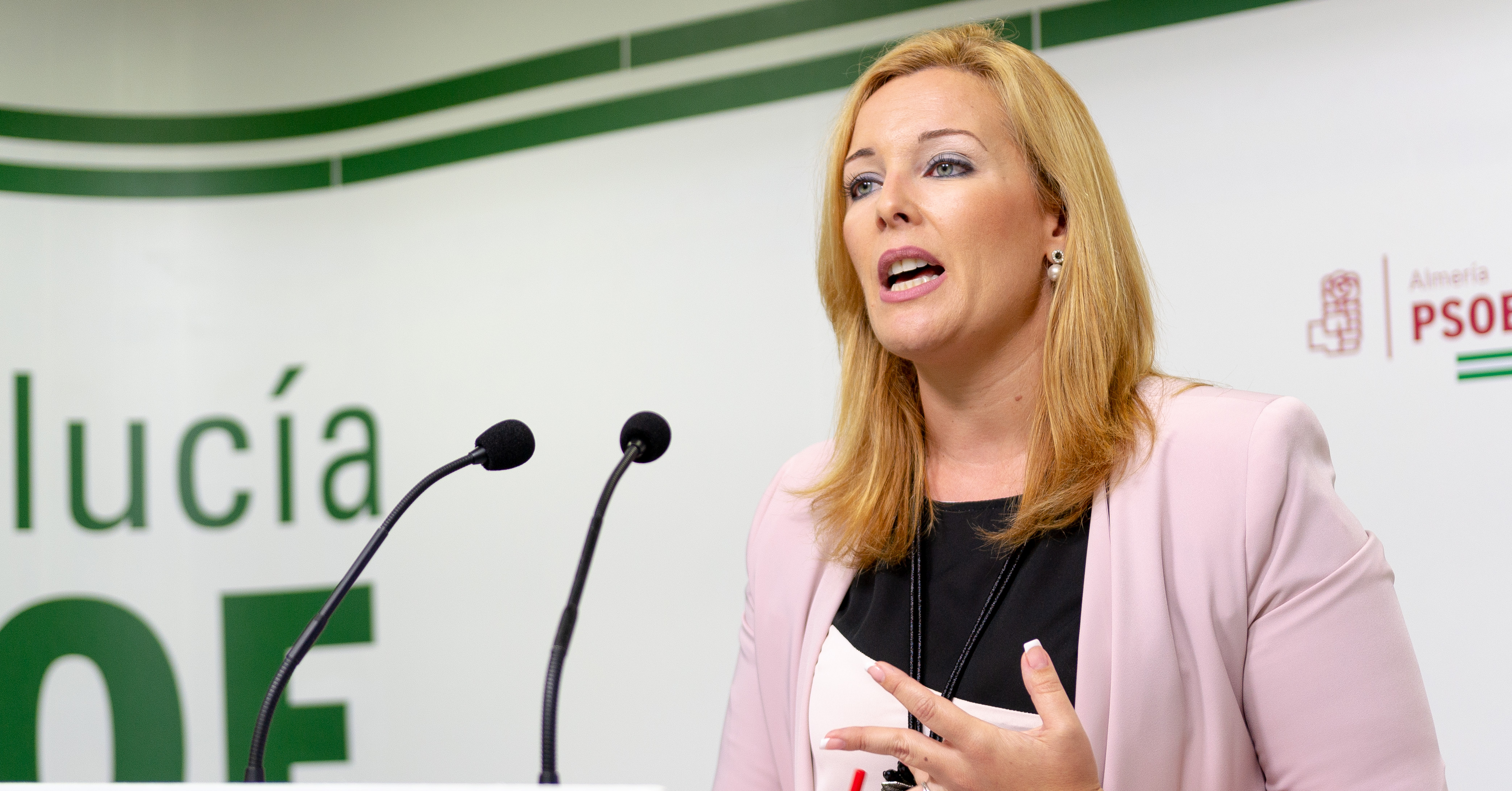 Teresa Piqueras, portavoz del PSOE en el Ayuntamiento de Adra
