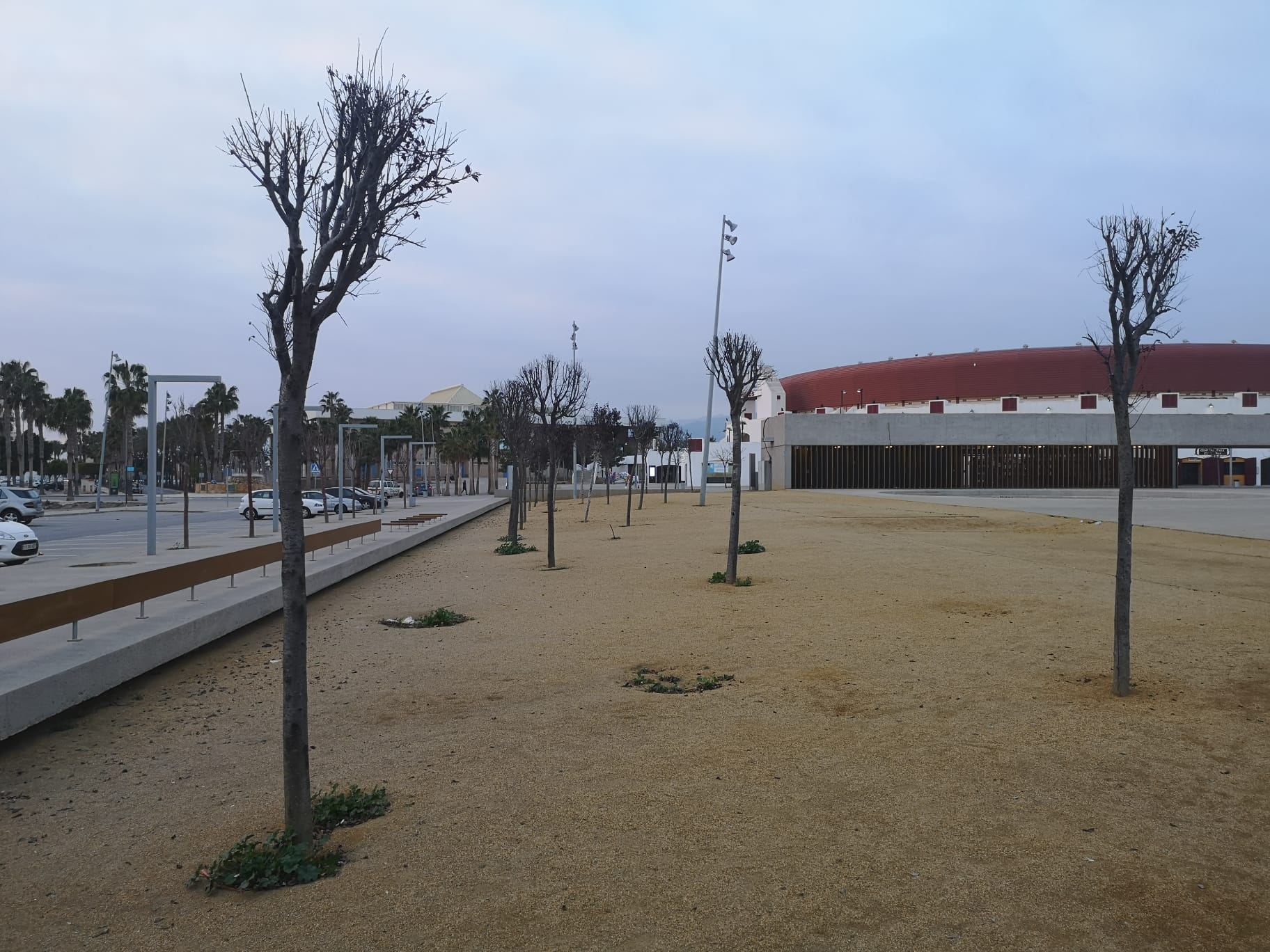 Árboles sin sombra en el Parque de Los Bajos de Roquetas de Mar
