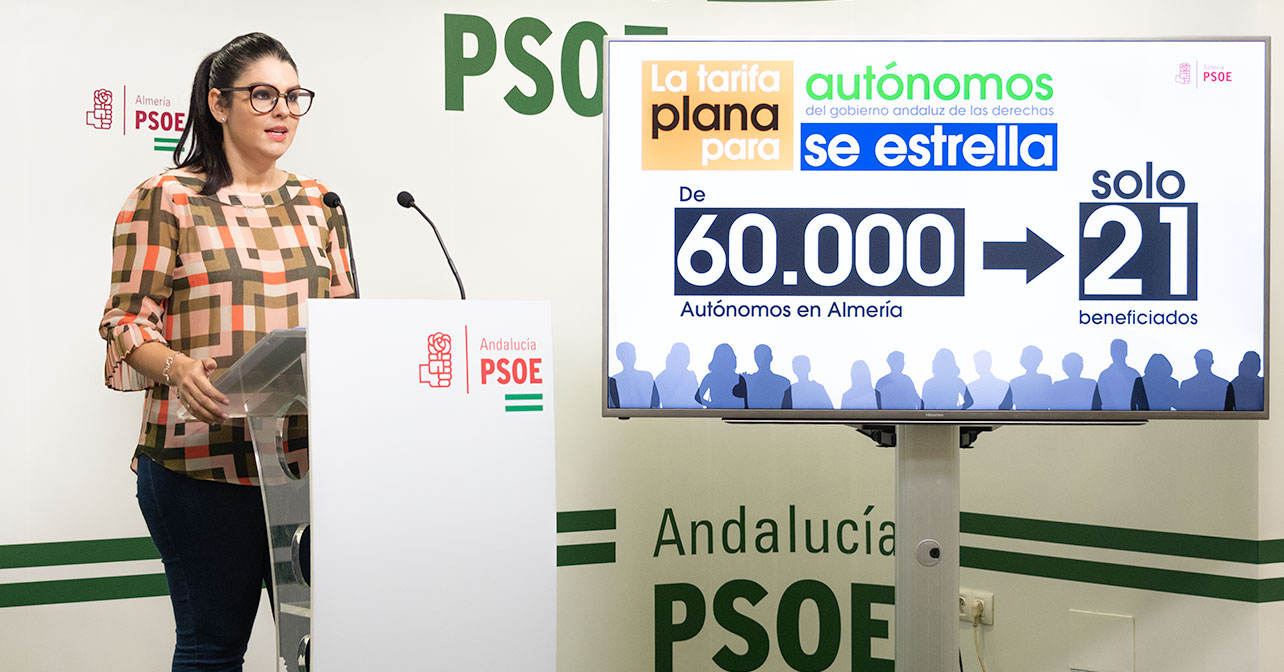 Rueda de prensa ofrecida por la parlamentaria andaluza del PSOE de Almería, Noemí Cruz