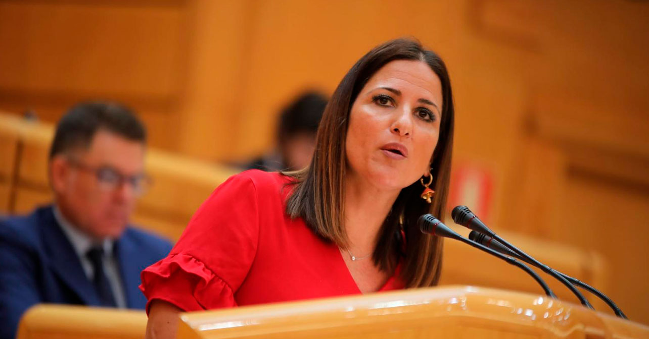 Inés Plaza, portavoz de Educación del PSOE