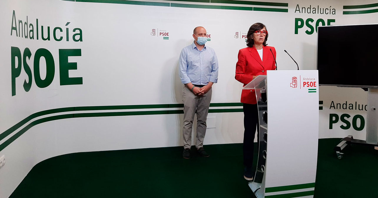 El secretario de organización del PSOE de Almería, Antonio Martínez y la portavoz adjunta del Grupo Parlamentario Socialista, Rosa Aguilar