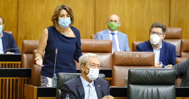 Susana Díaz, secretaria general del PSOE de Andalucía