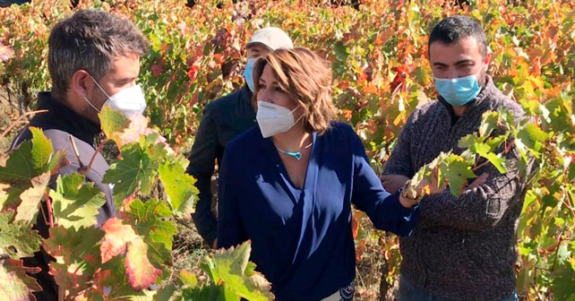 Visita de la secretaria general del PSOE de Andalucía, Susana Díaz, a una bodega de Ronda