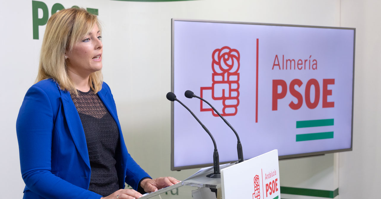 Teresa Piqueras, diputada provincial del PSOE de Almería