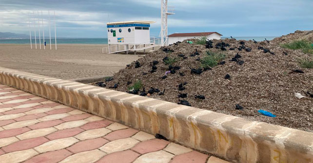 Playa de Roquetas de Mar