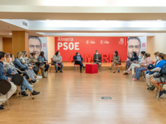 PSOE encuentro ayuda a domicilio 2