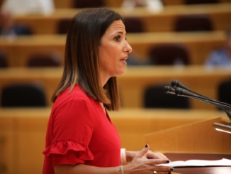 Inés Plaza, portavoz socialista de Educación en el Senado